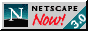 Netscape 3.01